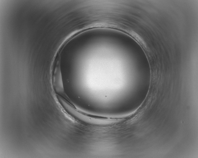 X0000075400854200609251016