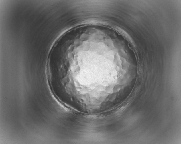 X0000075400855200609251016