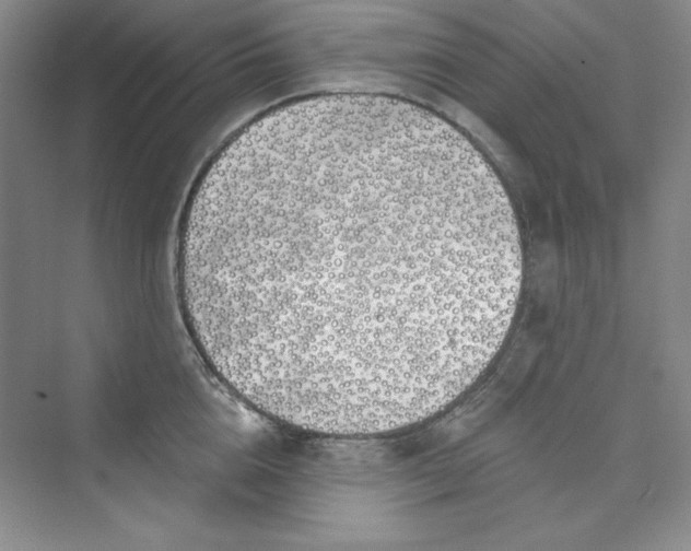 X0000075400856200609251016