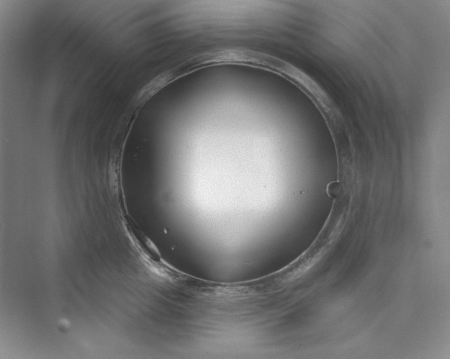 X0000075400857200609251016