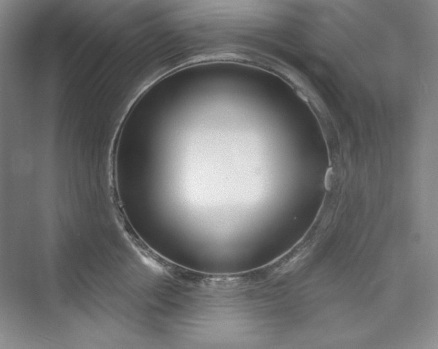 X0000075400858200609251016