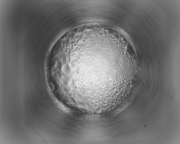 X0000075400859200609251016