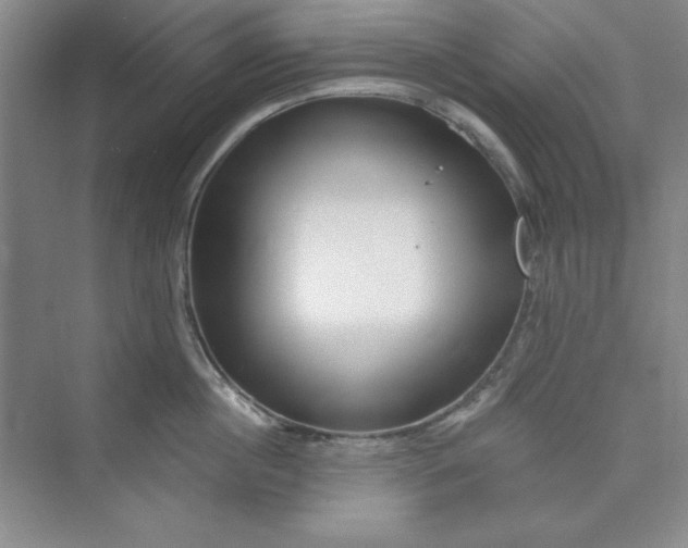 X0000075400860200609251016