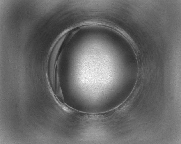 X0000075400862200609251016