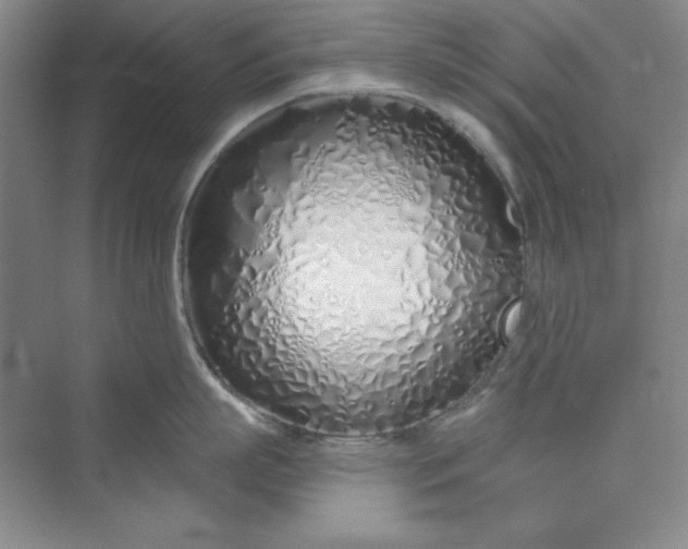 X0000075400863200609251016