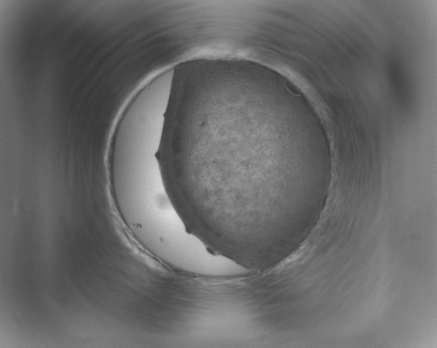 X0000075400864200609251017