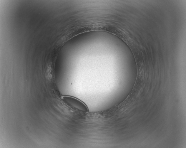 X0000075400866200609251016