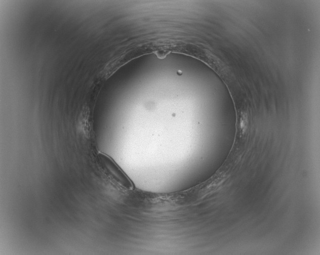 X0000075400867200609251016