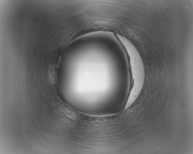 X0000075400868200609251016