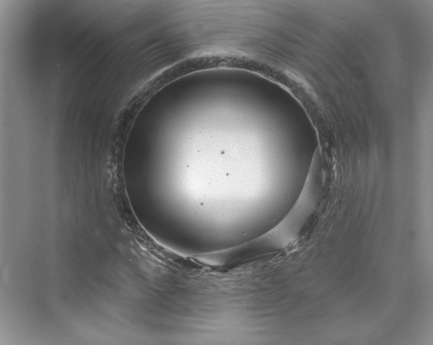 X0000075400872200609251016