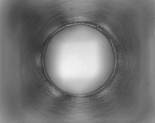 X0000075400873200609251016