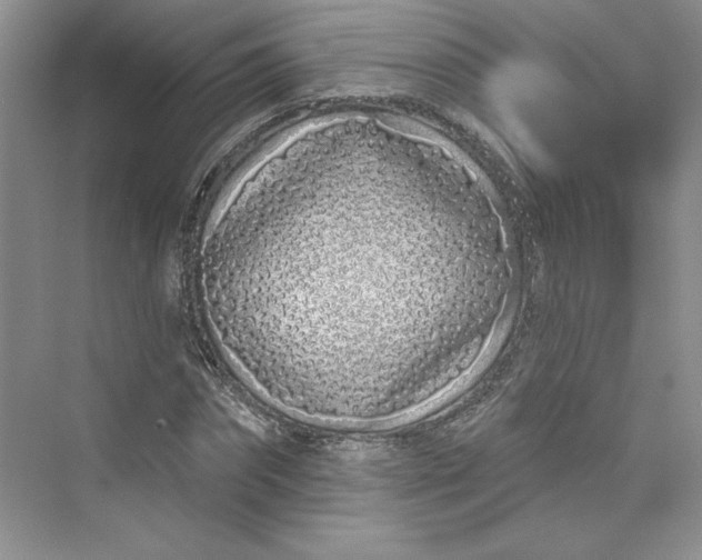 X0000075400874200609251016