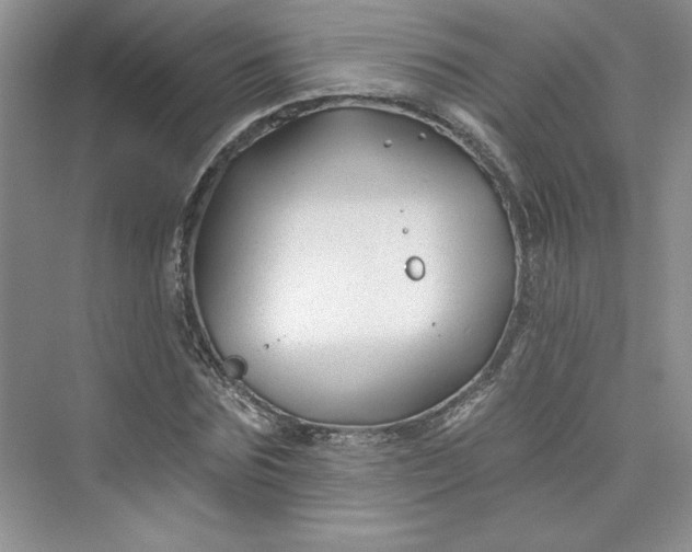 X0000075400875200609251016