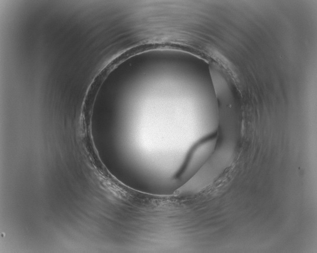 X0000075400876200609251016