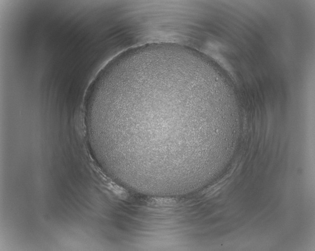 X0000075400878200609251015