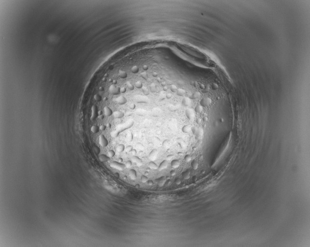 X0000075400879200609251015