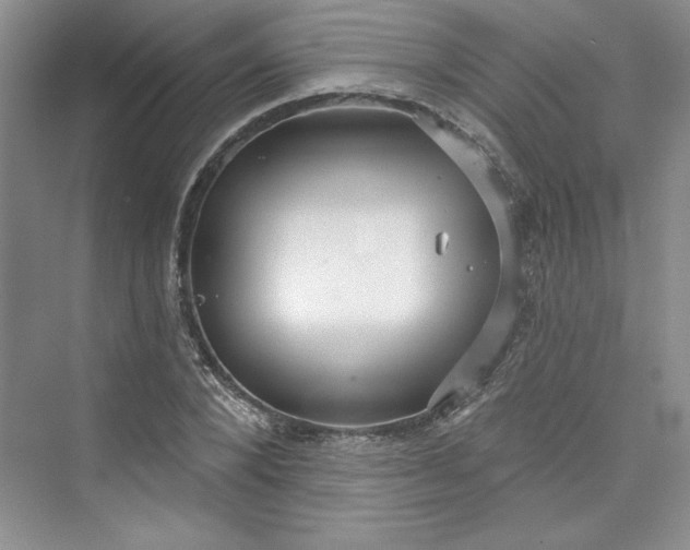 X0000075400880200609251015