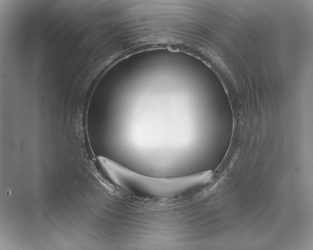 X0000075400881200609251015