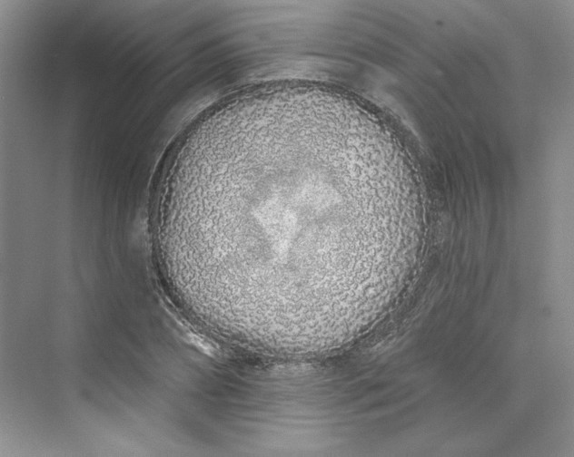 X0000075400882200609251015