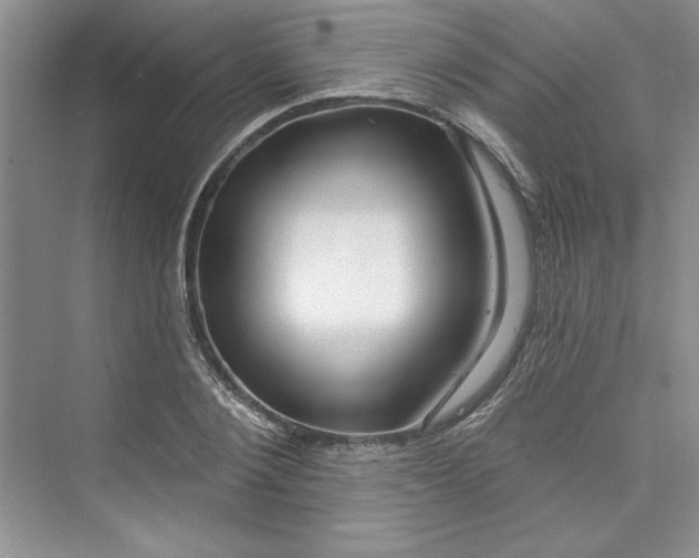 X0000075400884200609251015