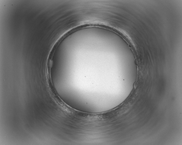 X0000075400887200609251015