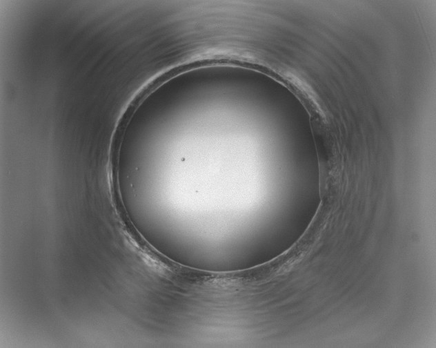 X0000075400888200609251015