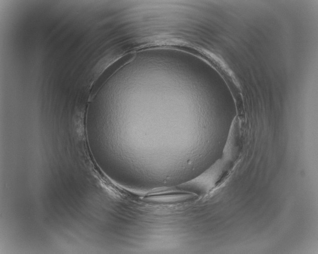 X0000075400889200609251015