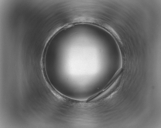 X0000075400893200609251015