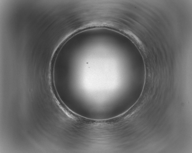 X0000075400894200609251015