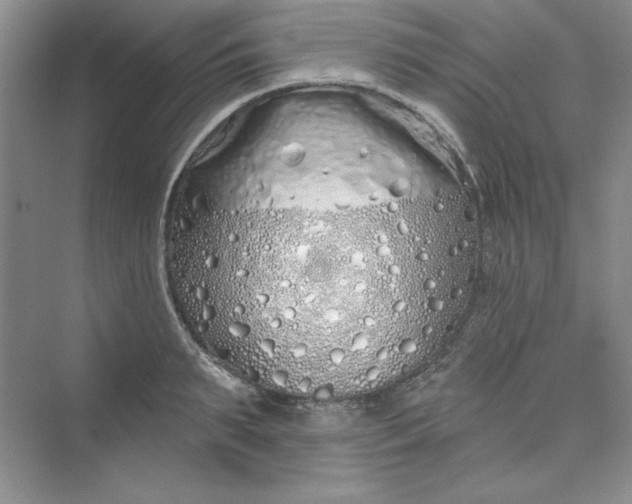 X0000075400895200609251015