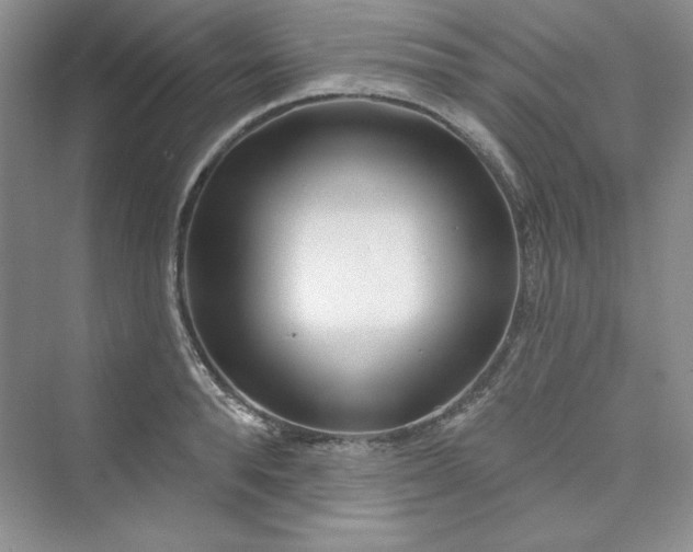 X0000075400896200609251015