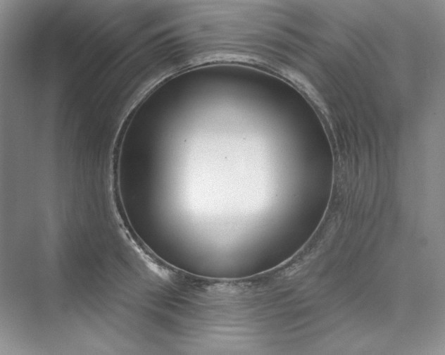 X0000075400898200609251015