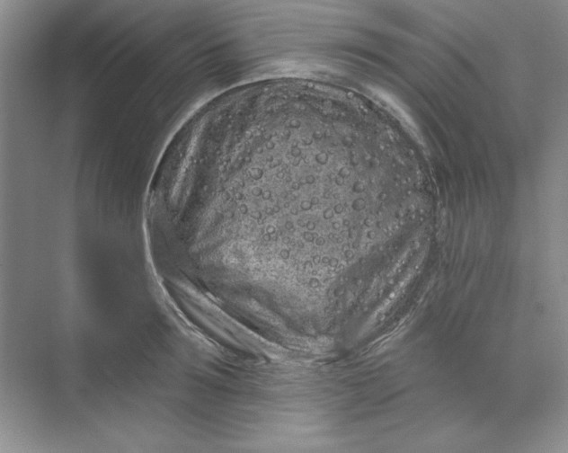 X0000075400899200609251015