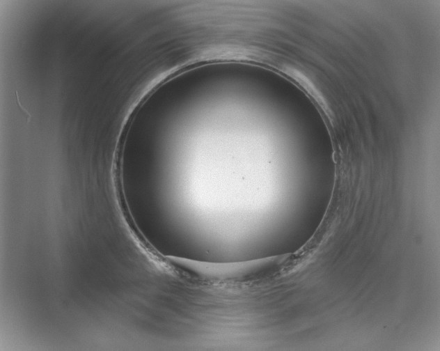 X0000075400901200609251015