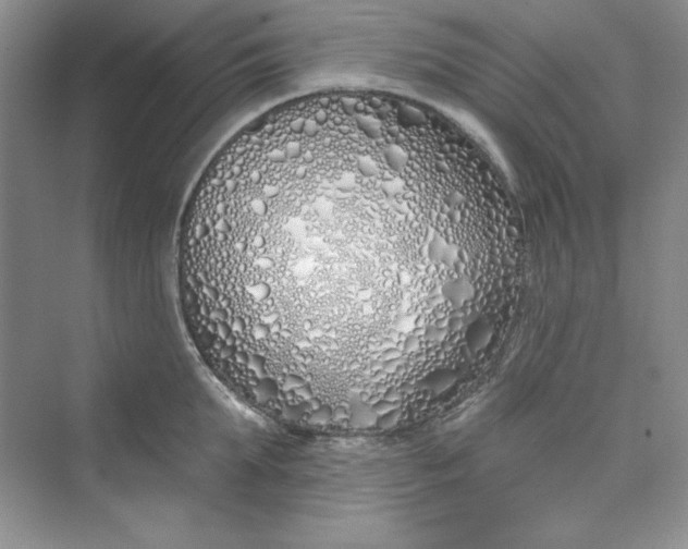 X0000075400903200609251015