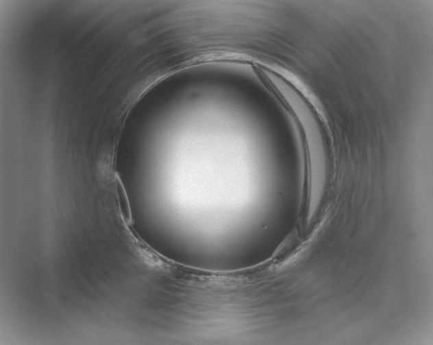 X0000075400905200609251015