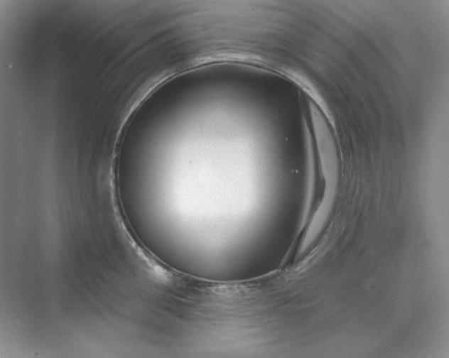 X0000075400906200609251015