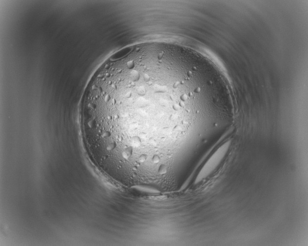 X0000075400907200609251015