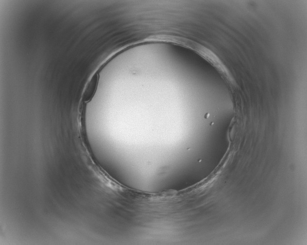 X0000075400908200609251015