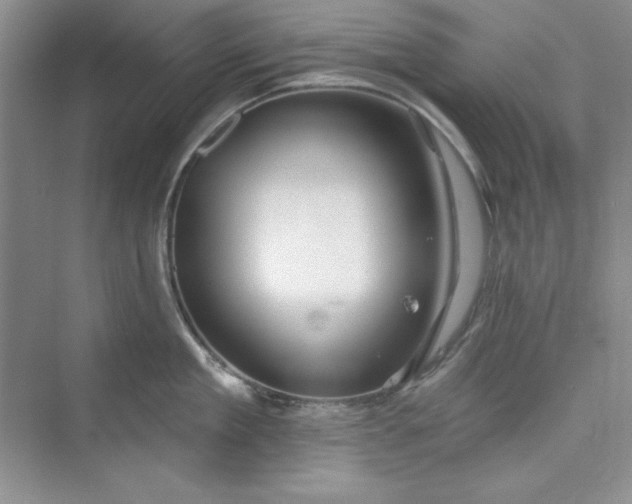 X0000075400909200609251015