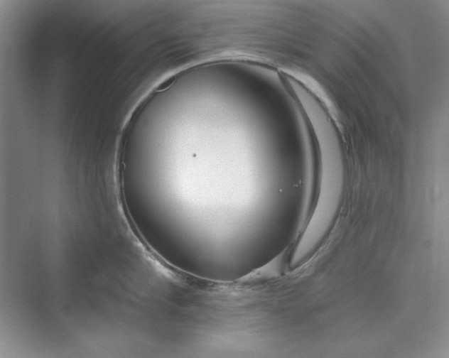 X0000075400910200609251015