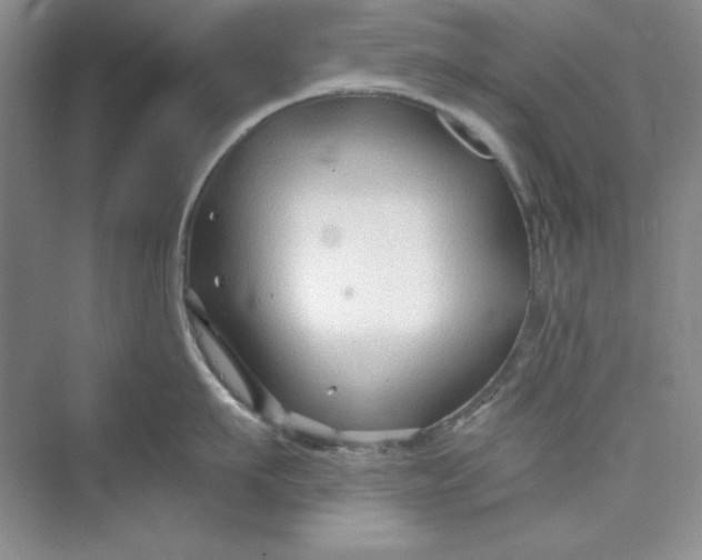 X0000075400911200609251015