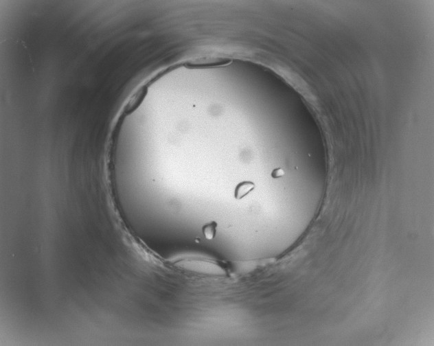 X0000075400912200609251015