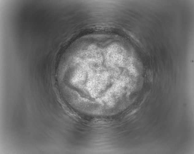 X0000075400913200609251014