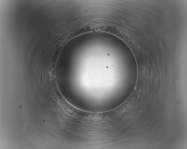 X0000075400914200609251014