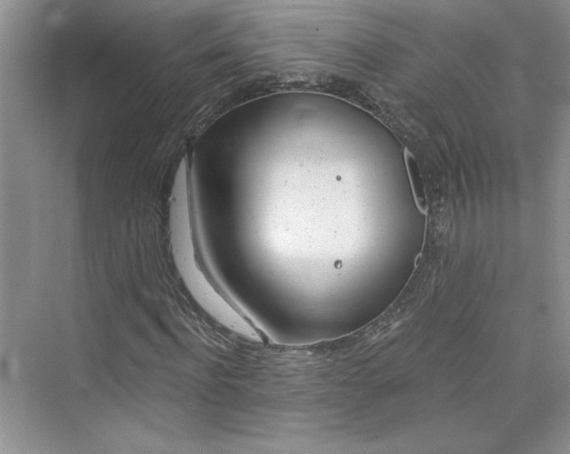 X0000075400916200609251014