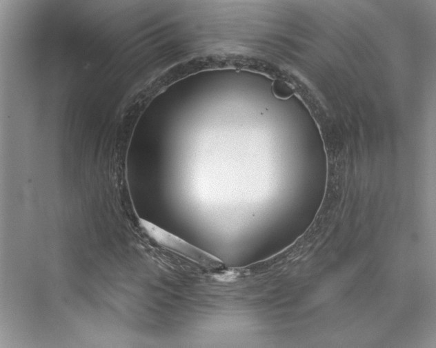 X0000075400919200609251014