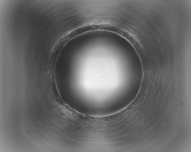 X0000075400920200609251014