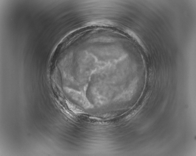 X0000075400923200609251014