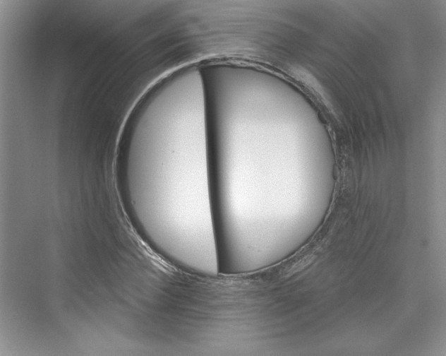 X0000075400924200609251014